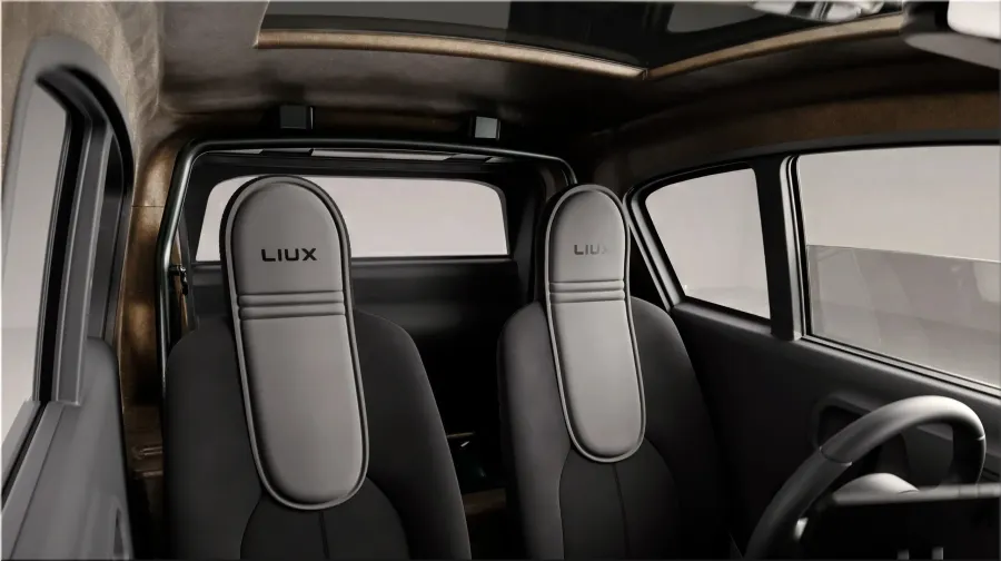 LIUX BIG Electric Quadricycle