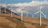 How Renewable Energy Can Thrive in an Inflationary Environment